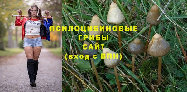 МДПВ Бронницы