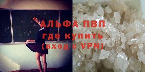 СК Богородицк