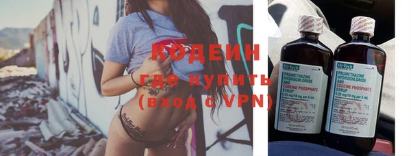 соль ск Богданович