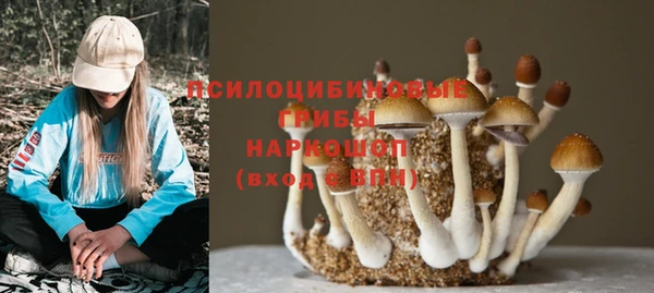 трава Беломорск