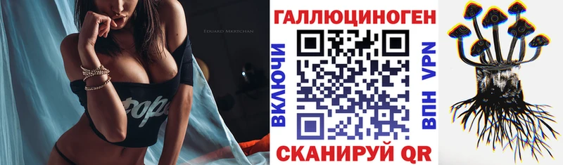 KRAKEN ТОР Борзя Псилоцибиновые грибы MAGIC MUSHROOMS